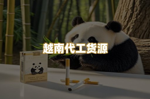 越南代工货源